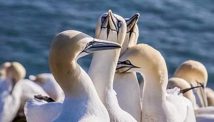 九游娱乐(jiuyou)官方网站-英超激烈争夺，豪门战火升腾