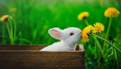 九游娱乐(jiuyou)官方网站-英超激烈争夺，豪门战火升腾