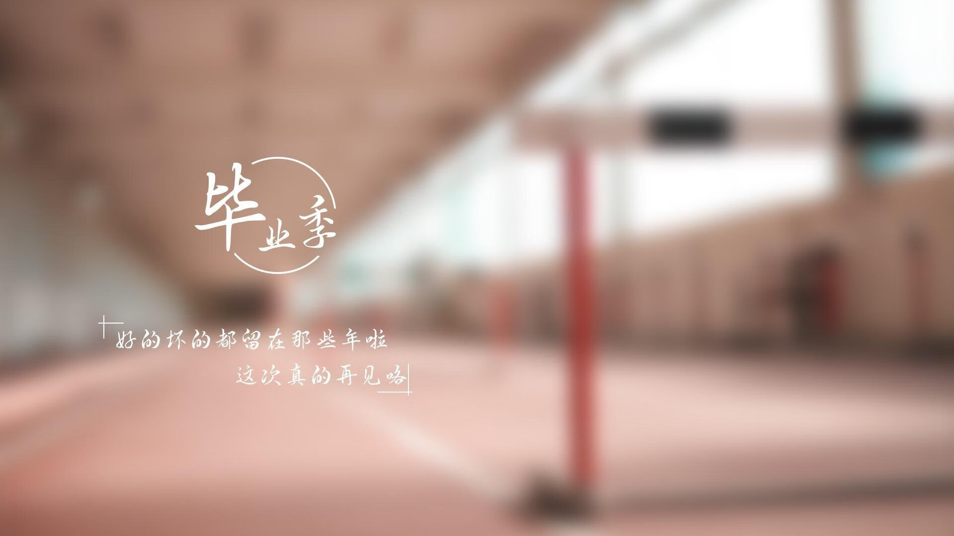 【特劳特再下一城】天使队长连续五场多安打，洛杉矶天使 特劳特