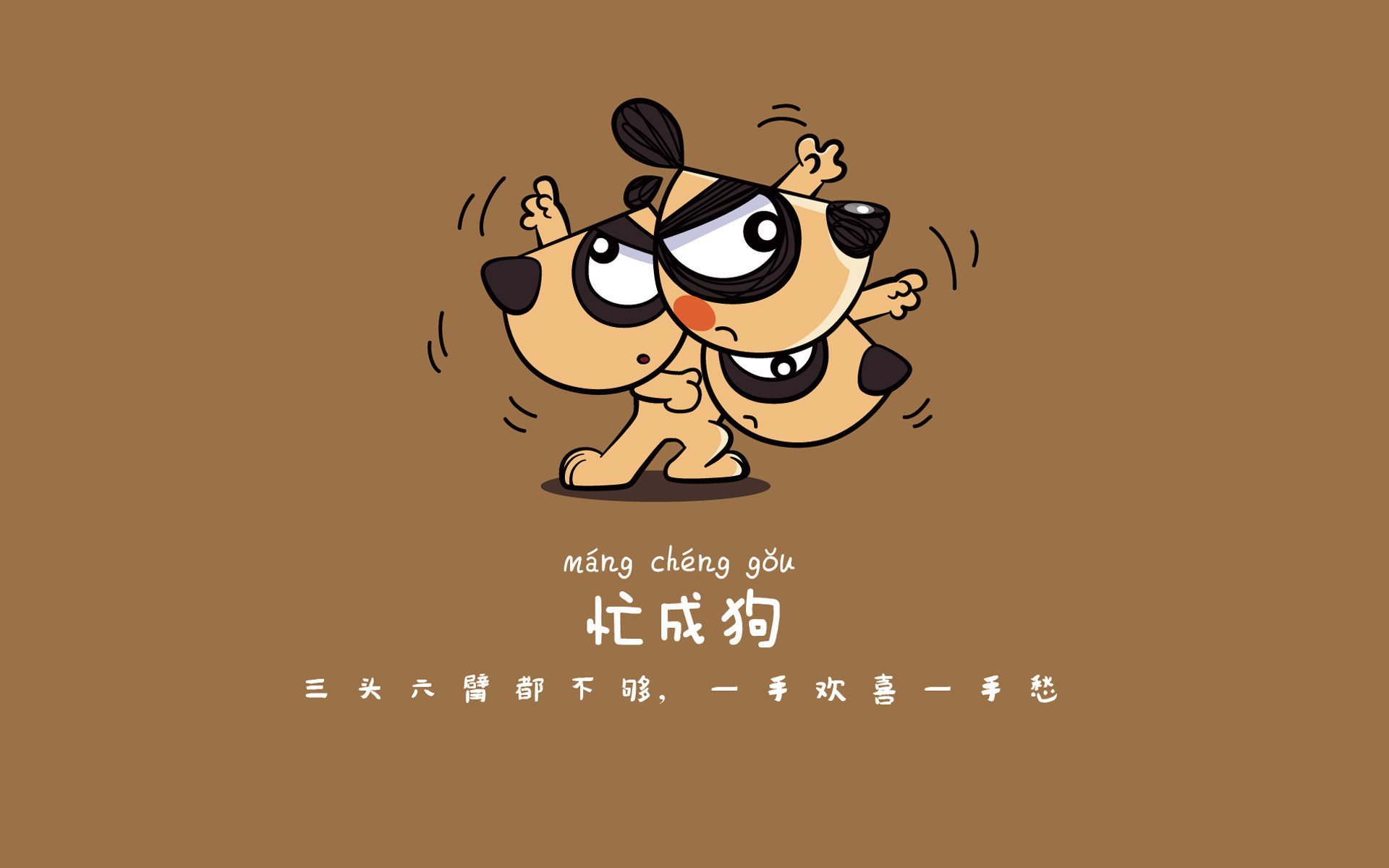 特色足球文化节在多地盛大举行,彰显时代精神,足球特色学校文化手抄报