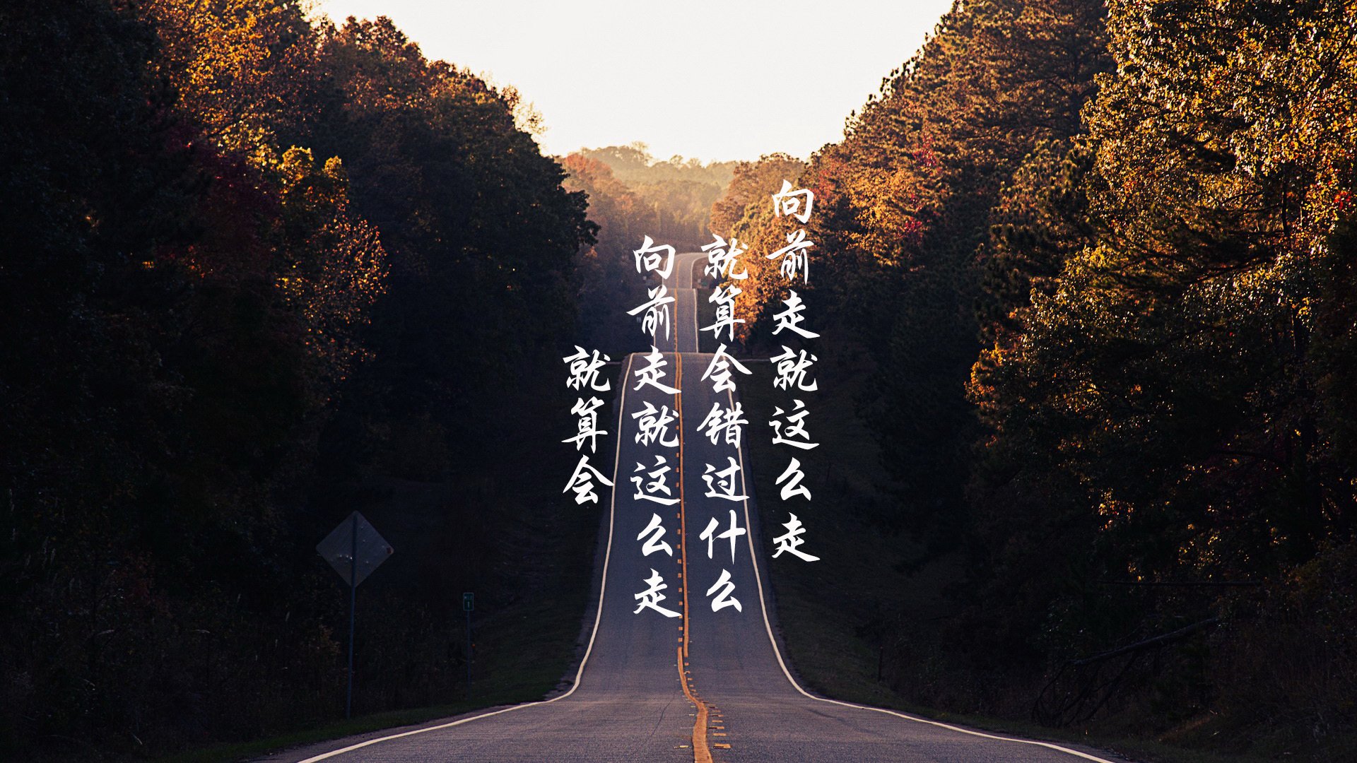全球篮球大战：顶级赛场燃情绽放英雄荣耀，全球篮球职业联赛
