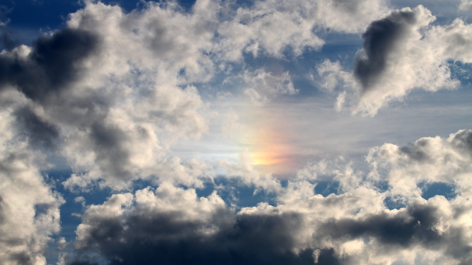 荷兰队在国家联赛中4-0大胜匈牙利,晋级四分之一决赛。,荷兰4比0西班牙