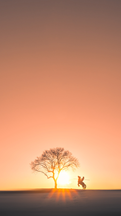 荷兰队在国家联赛中4-0大胜匈牙利,晋级四分之一决赛。,荷兰4比0西班牙