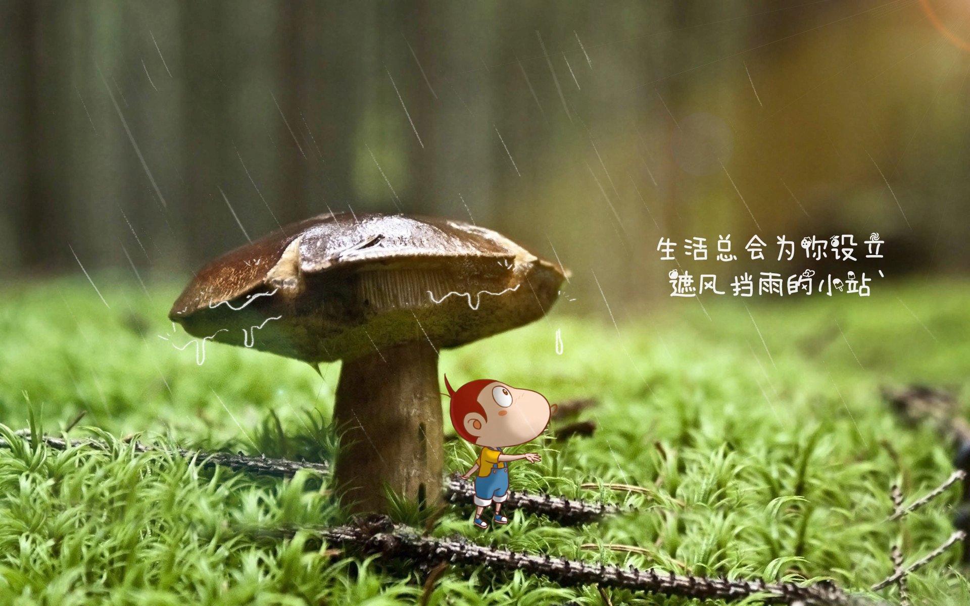 足球赛事营销引人注目，球迷争相追捧，足球营销案例