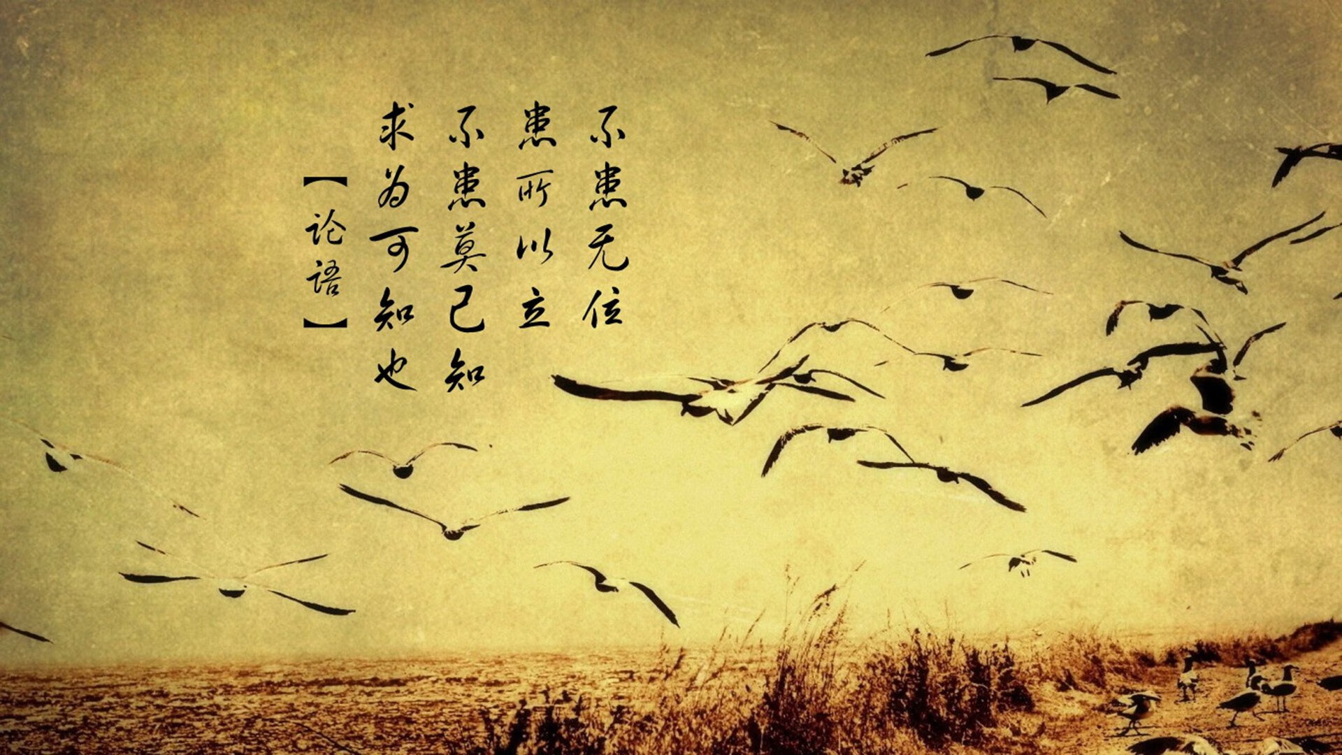 世界青年网球锦标赛中国晋级总决赛,世界青年网球排名