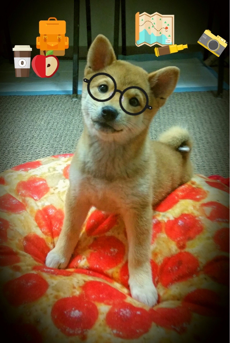 冠军选手200蝶转身数据曝光,100蝶半决赛