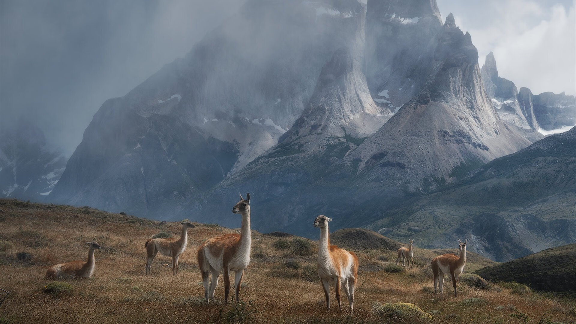 乔纳·隆戈:从世界杯舞台到全球橄榄球的巨星,乔纳坦 个人资料生日