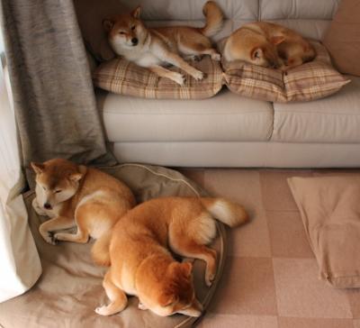 九游app下载中心-李恩：全黑队的“中场铁卫”，每一次防守都稳如磐石