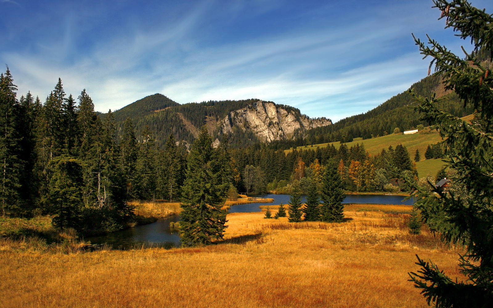 九游网页版官网-霍勒迪快攻策应队友命中率提升明显，霍勒迪单挑